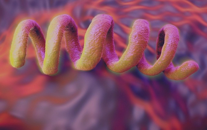 Quels sont les types de Maladies Sexuellement Transmissibles ?